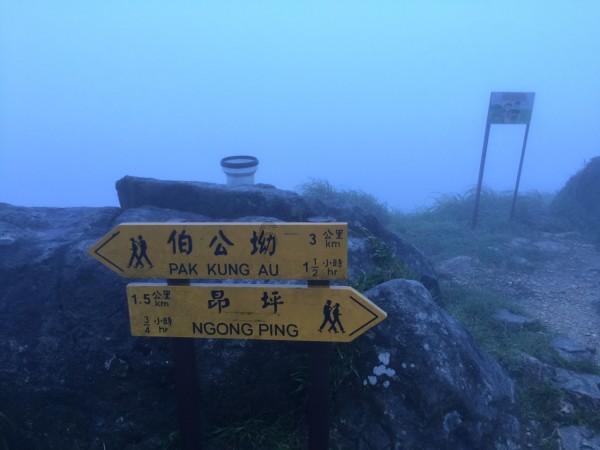小猫钓鱼游戏龙王版有船